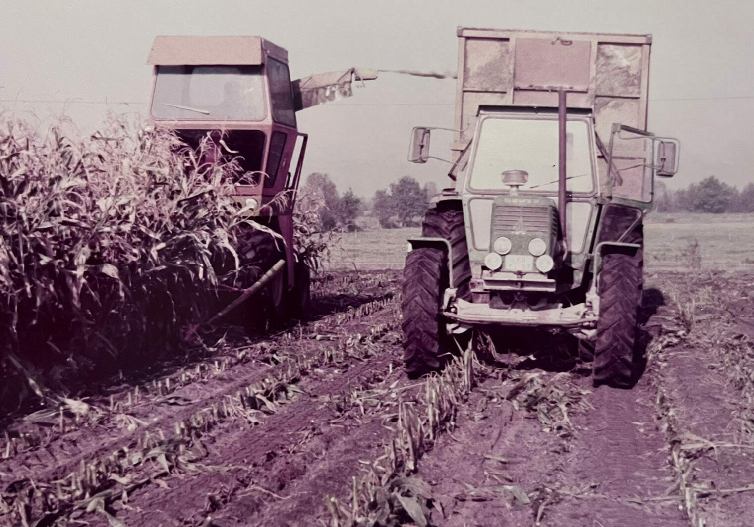 frieling_historie_galerie_1